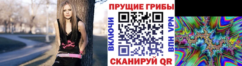 Галлюциногенные грибы прущие грибы  Нарткала 